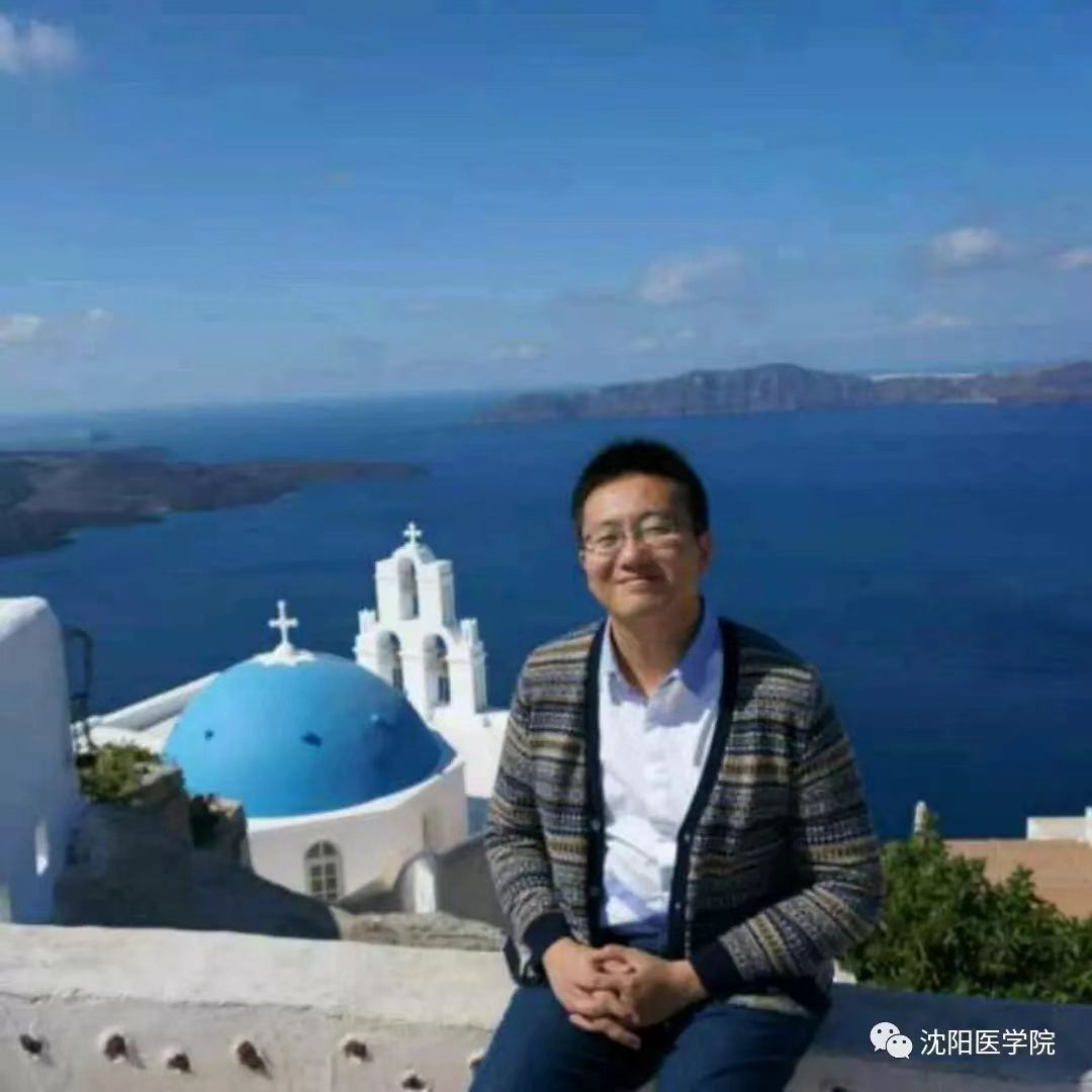 JJB竞技宝官网